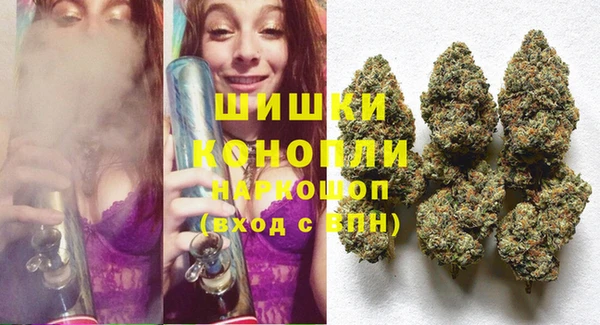 Альфа ПВП Алзамай