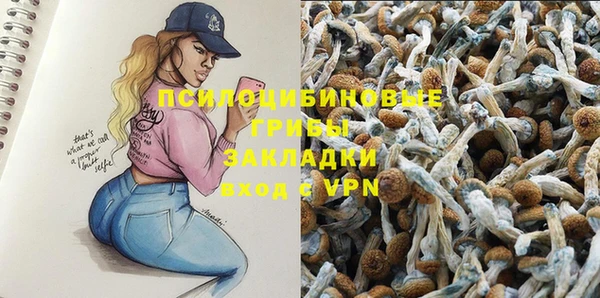 первитин Алексин