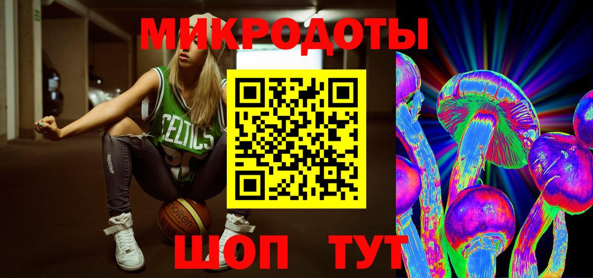 Псилоцибиновые грибы Cubensis Волжский